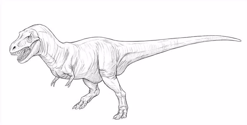 Detail Gambar Sketsa Dinosaurus Nomer 37