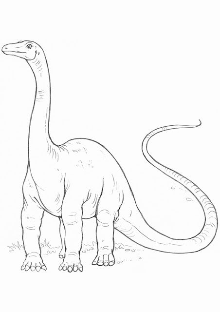Detail Gambar Sketsa Dinosaurus Nomer 10