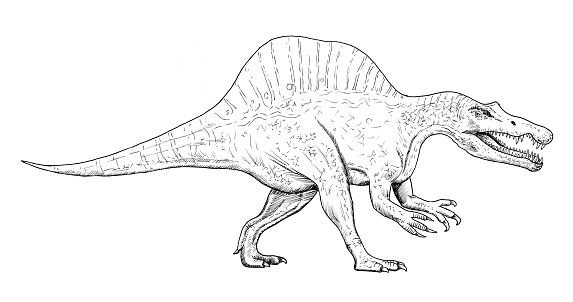 Detail Gambar Sketsa Dinosaurus Berwarna Nomer 35