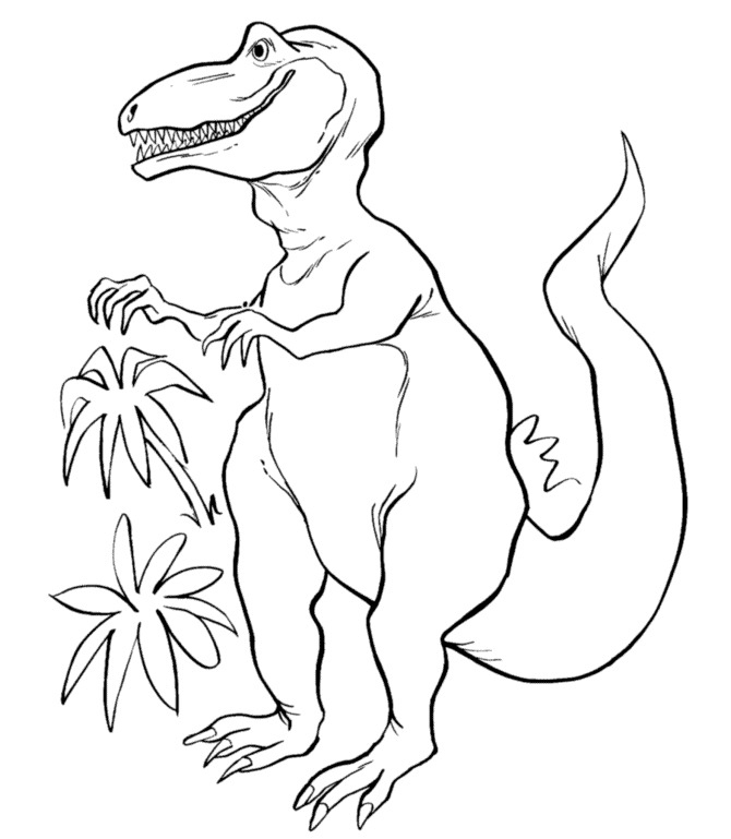 Detail Gambar Sketsa Dinosaurus Berwarna Nomer 36