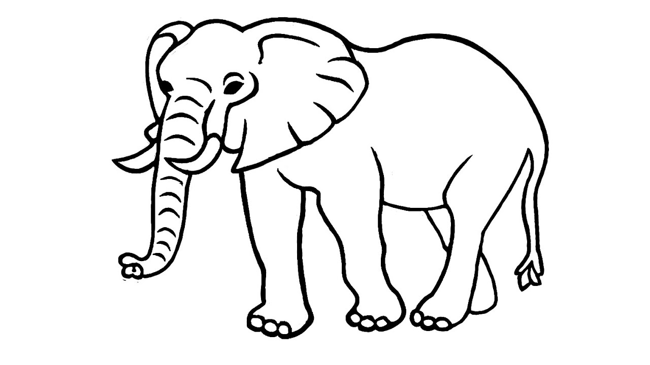 Detail Gambar Sketsa Gajah Nomer 4
