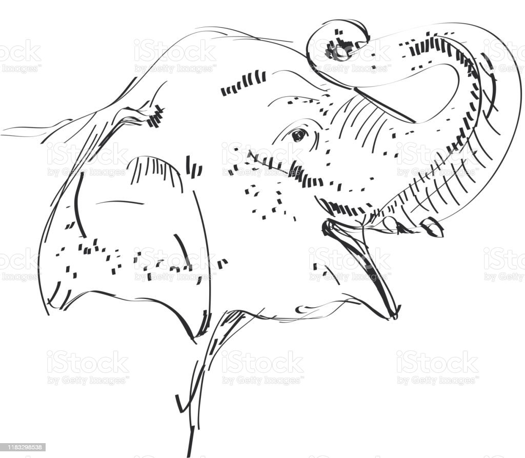 Detail Gambar Sketsa Gajah Nomer 34