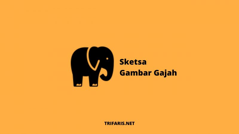 Detail Gambar Sketsa Gajah Sedang Main Bola Nomer 26