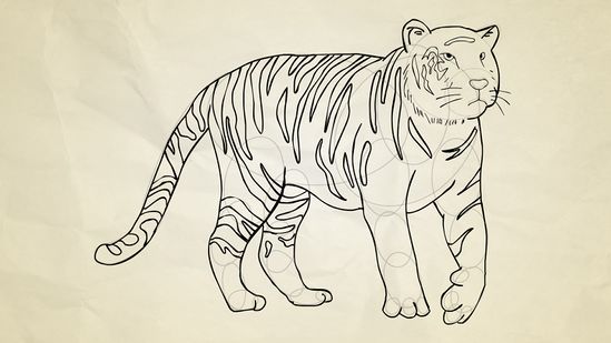 Detail Gambar Sketsa Harimau Nomer 13