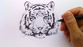 Detail Gambar Sketsa Harimau Gambar Sketsa Kepala Naga Nomer 29