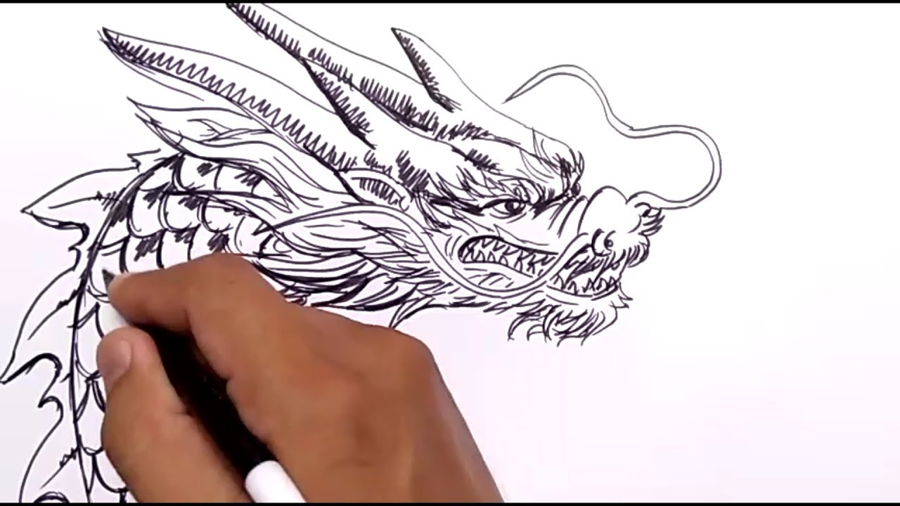 Detail Gambar Sketsa Harimau Gambar Sketsa Kepala Naga Nomer 6