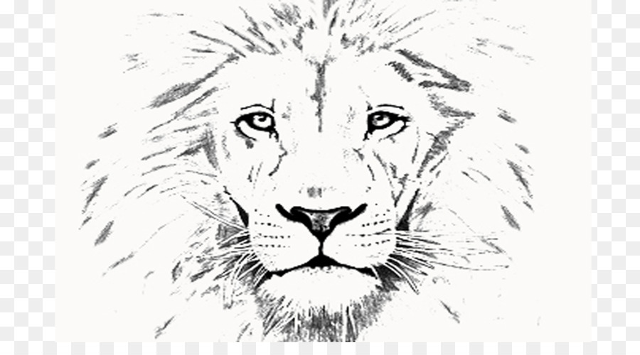Detail Gambar Sketsa Harimau Gambar Sketsa Singa Nomer 47