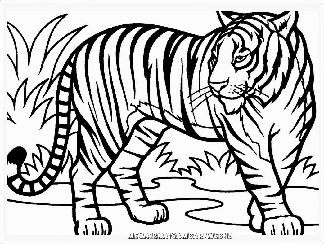 Detail Gambar Sketsa Harimau Gambar Sketsa Wajah Ayam Jago Nomer 2