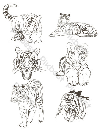 Detail Gambar Sketsa Harimau Gambar Sketsa Wajah Elang Nomer 15