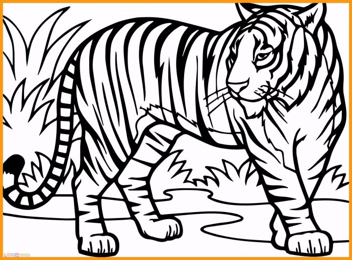 Detail Gambar Sketsa Harimau Gambar Sketsa Wajah Elang Nomer 7