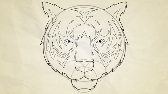 Detail Gambar Sketsa Harimau Gambar Sketsa Wajah Kucing Nomer 32