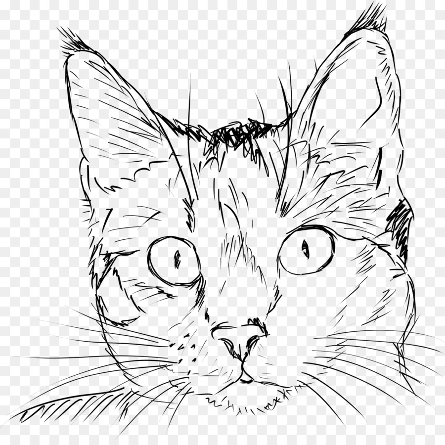 Detail Gambar Sketsa Harimau Gambar Sketsa Wajah Kucing Nomer 39