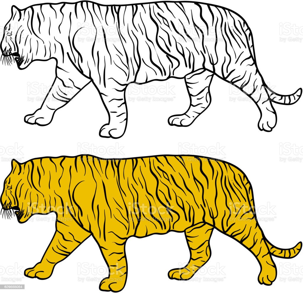 Detail Gambar Sketsa Harimau Keren Nomer 30