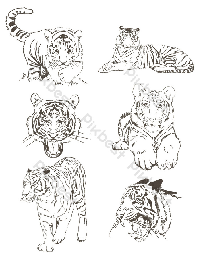 Detail Gambar Sketsa Harimau Keren Nomer 50