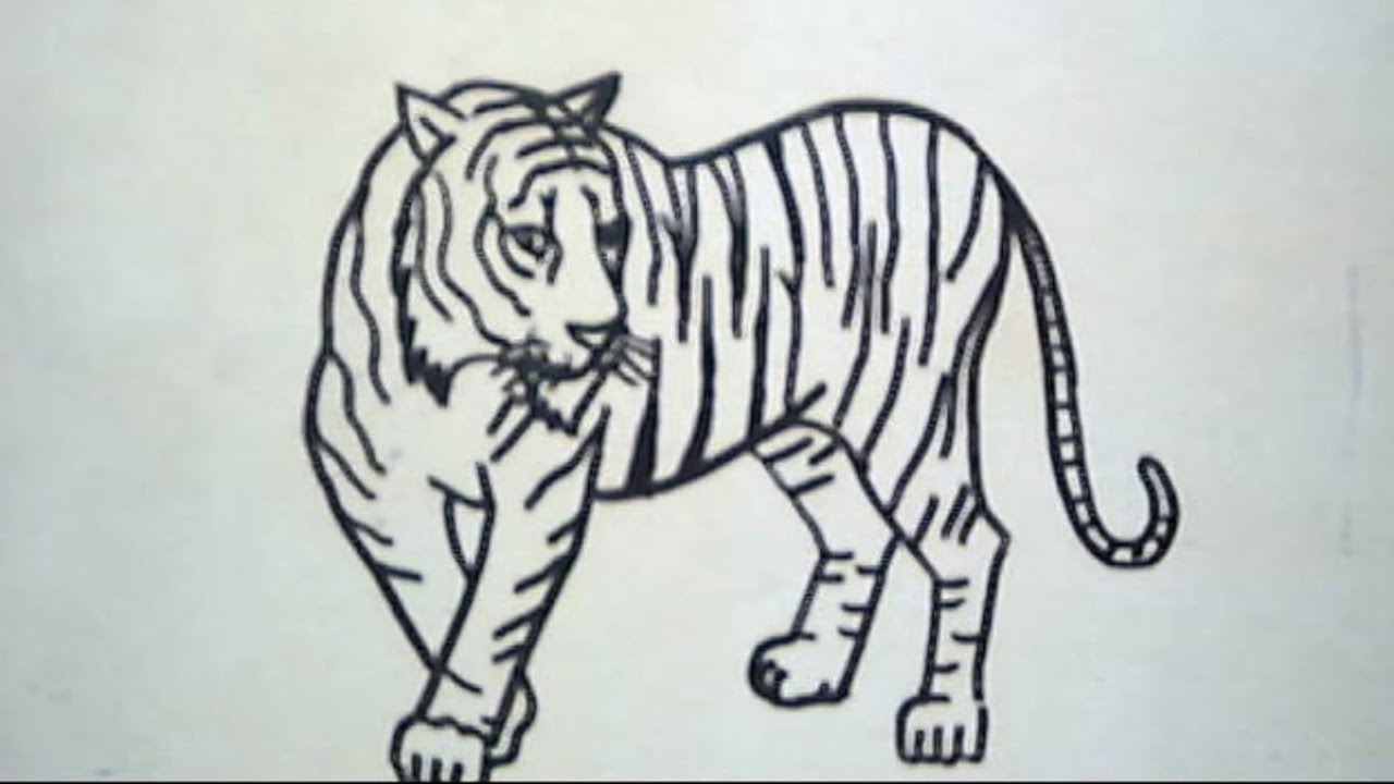 Detail Gambar Sketsa Harimau Keren Nomer 8