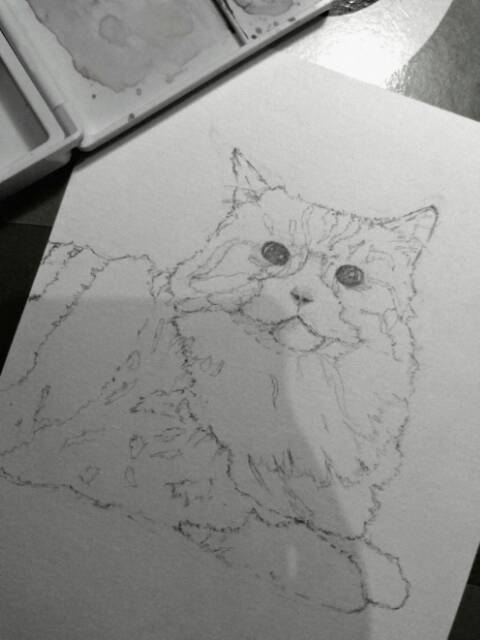 Detail Gambar Sketsa Hewan Kucing Nomer 16