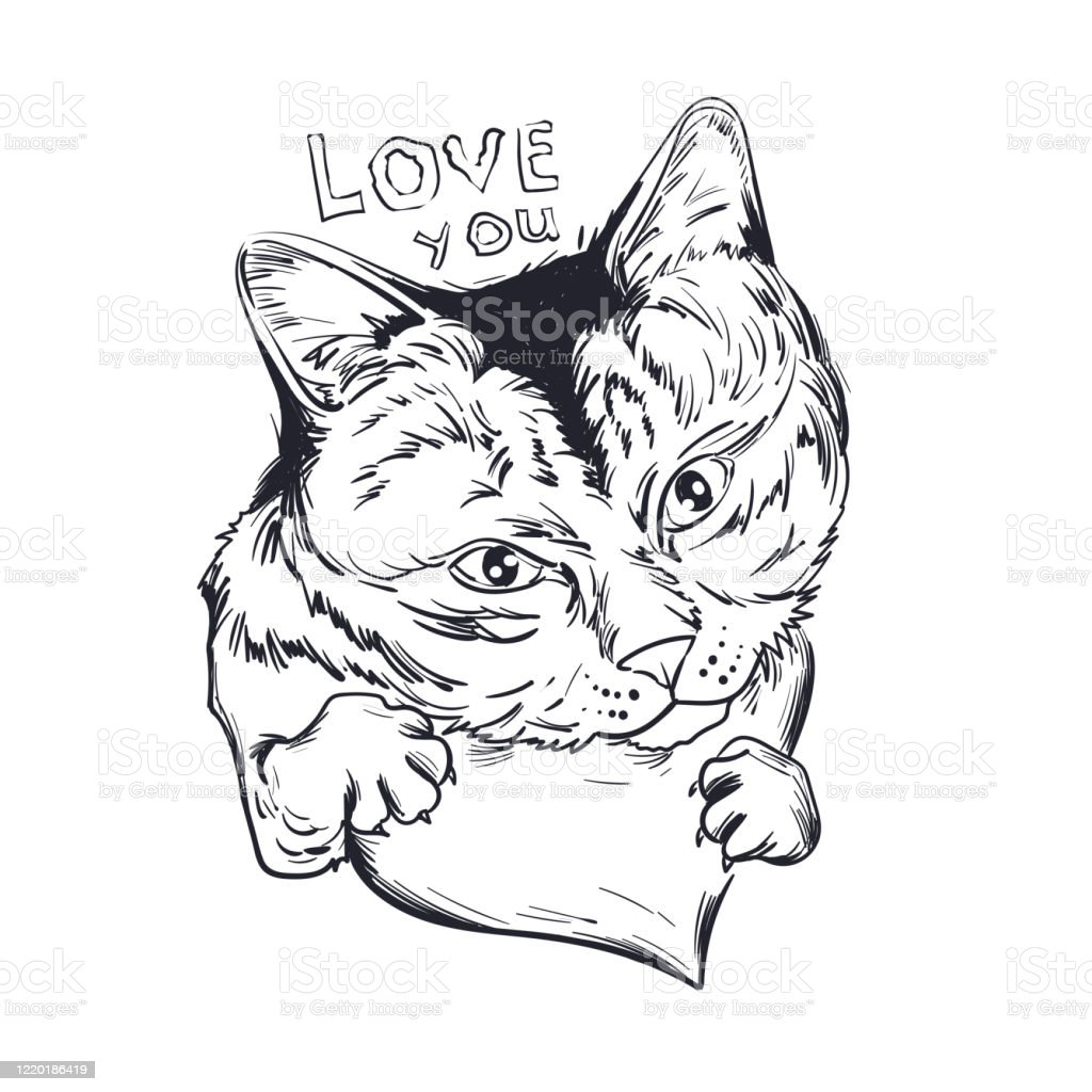 Detail Gambar Sketsa Hewan Kucing Nomer 37