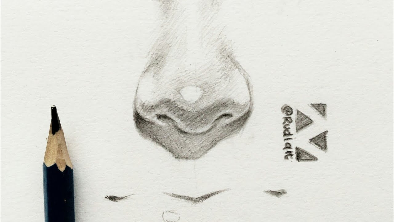 Detail Gambar Sketsa Hidung Nomer 18