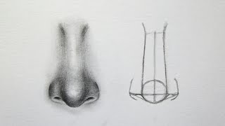Detail Gambar Sketsa Hidung Nomer 3