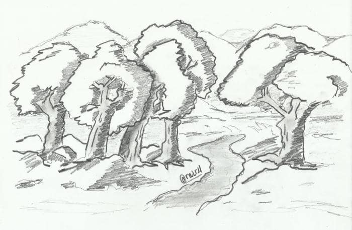 Detail Gambar Sketsa Hutan Nomer 10