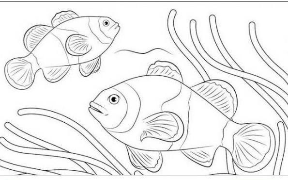 Detail Gambar Sketsa Ikan Nomer 28