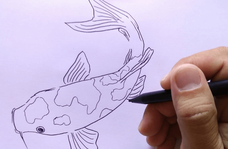 Detail Gambar Sketsa Ikan Nomer 36