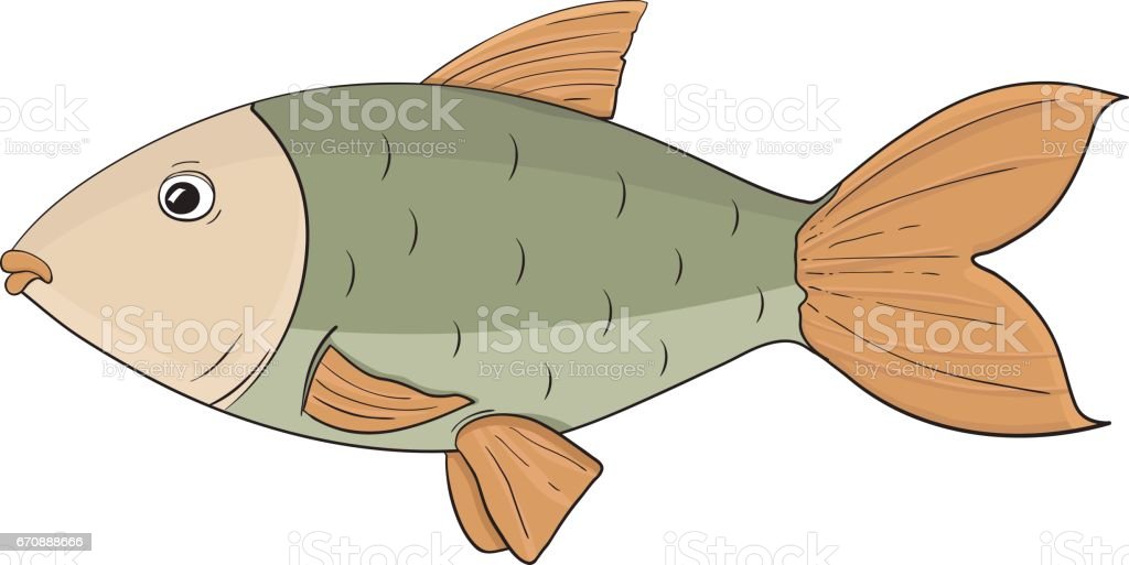 Detail Gambar Sketsa Ikan Nomer 37