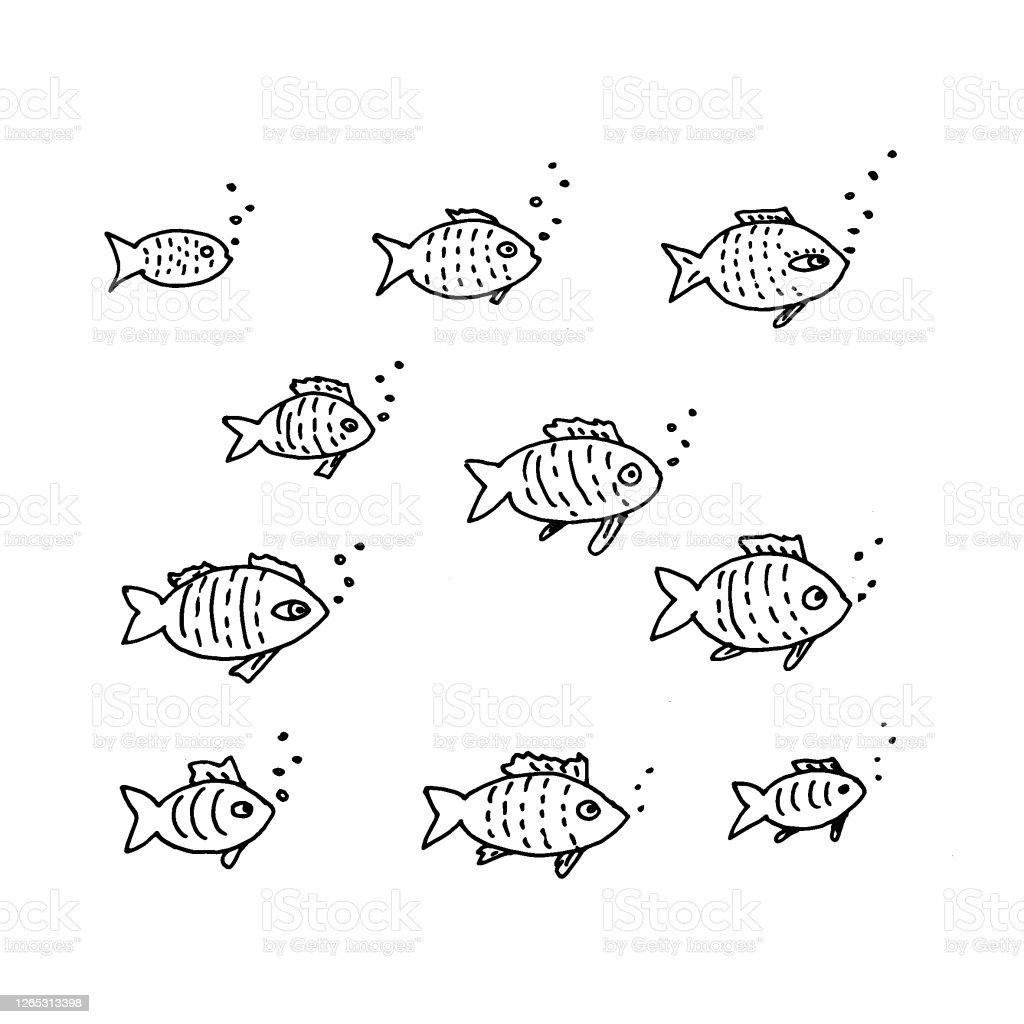 Detail Gambar Sketsa Ikan Nomer 51