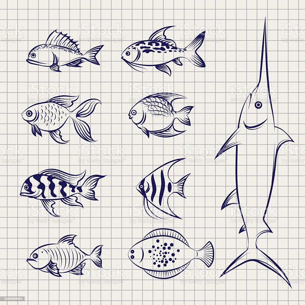 Detail Gambar Sketsa Ikan Nomer 55