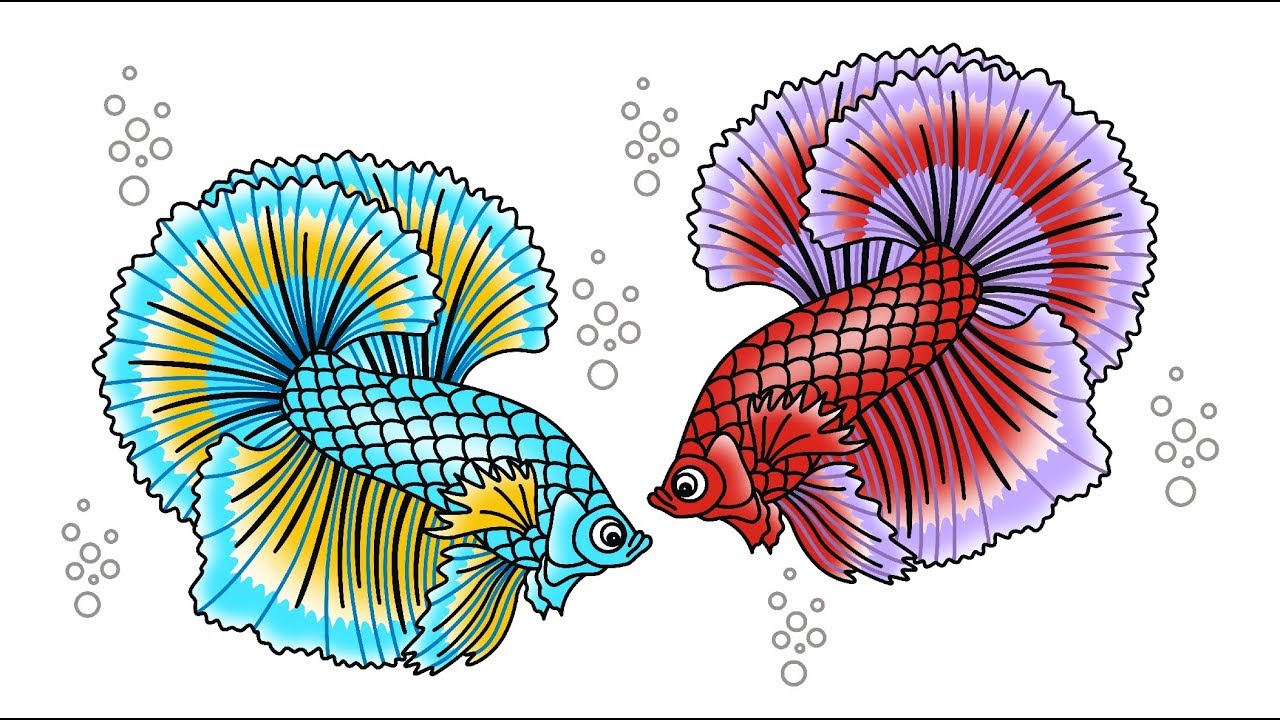 Detail Gambar Sketsa Ikan Cupang Nomer 24