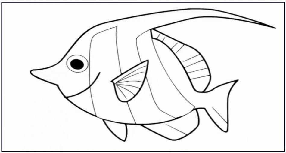 Detail Gambar Sketsa Ikan Laut Nomer 13