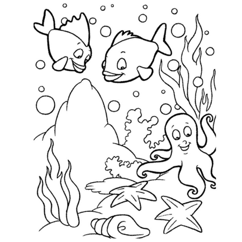 Detail Gambar Sketsa Ikan Laut Nomer 43