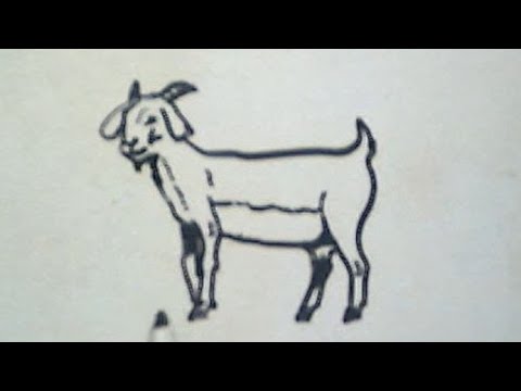 Detail Gambar Sketsa Kambing Nomer 14