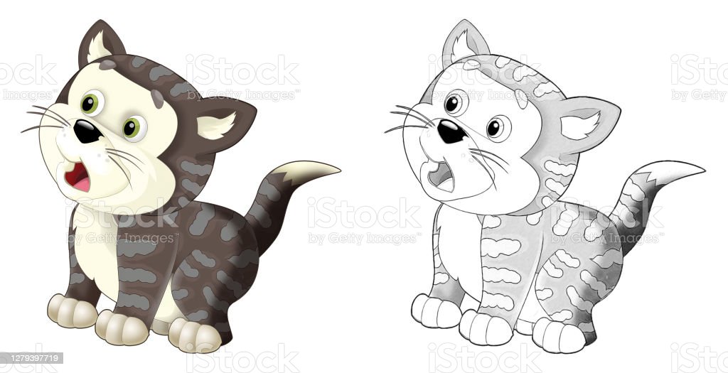 Detail Gambar Sketsa Kartun Kucing Lucu Nomer 53