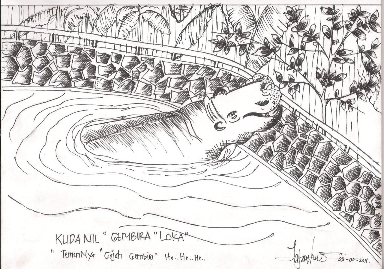 Detail Gambar Sketsa Kebun Binatang Nomer 32