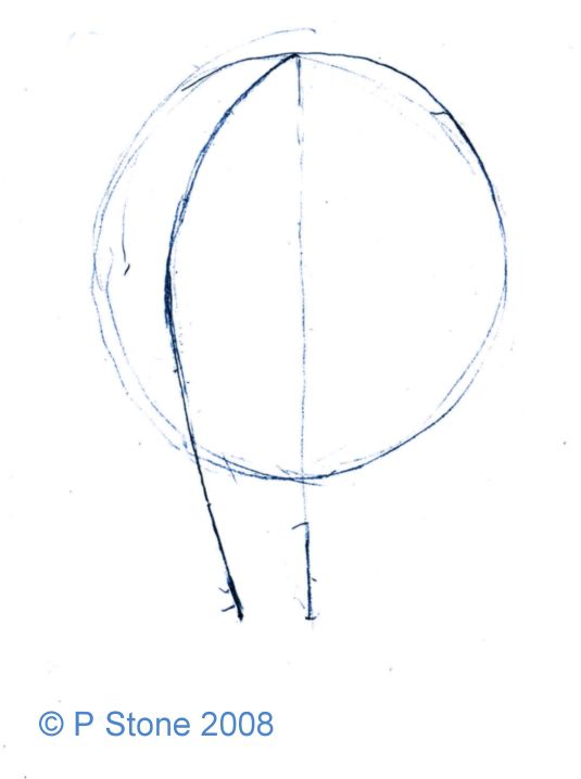 Detail Gambar Sketsa Kepala Nomer 46