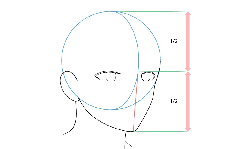 Detail Gambar Sketsa Kepala Semua Sisi Nomer 13