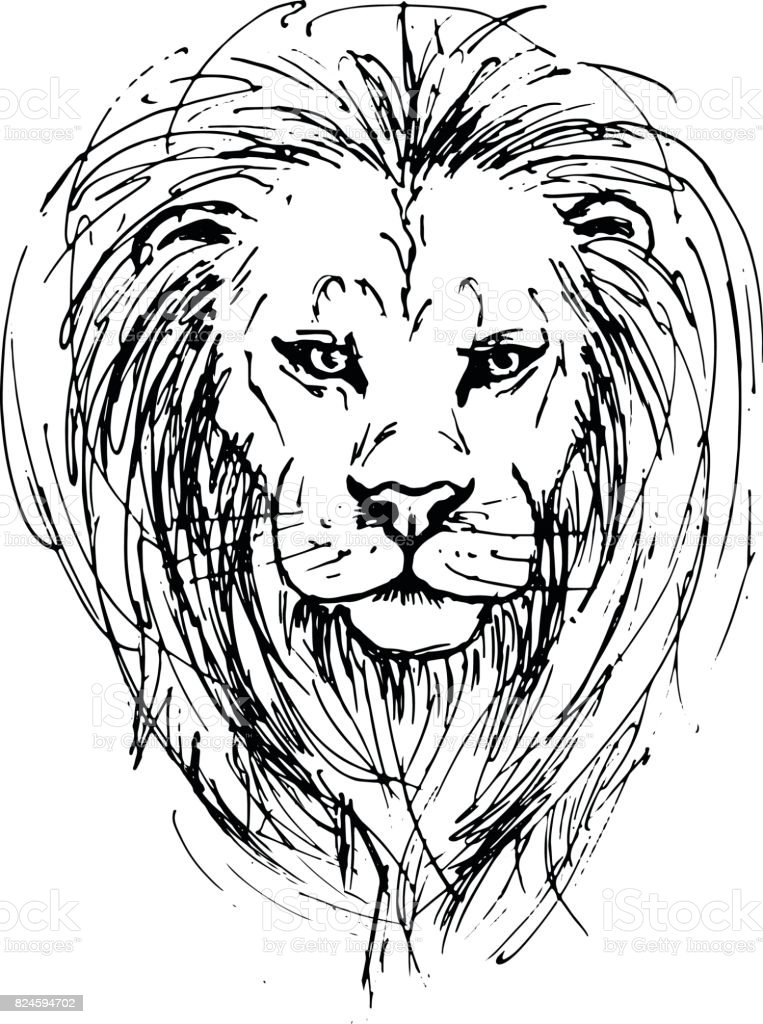 Detail Gambar Sketsa Kepala Singa Nomer 11