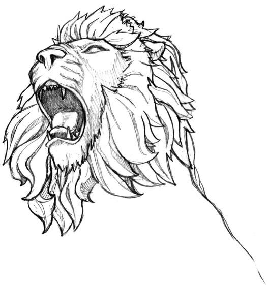 Detail Gambar Sketsa Kepala Singa Nomer 15