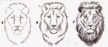 Detail Gambar Sketsa Kepala Singa Nomer 19
