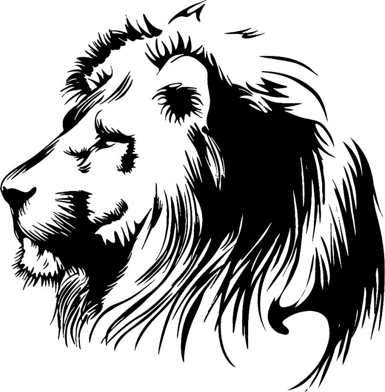 Detail Gambar Sketsa Kepala Singa Nomer 26