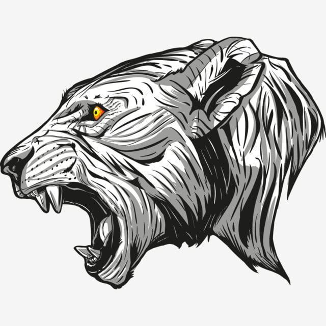 Detail Gambar Sketsa Kepala Singa Nomer 37