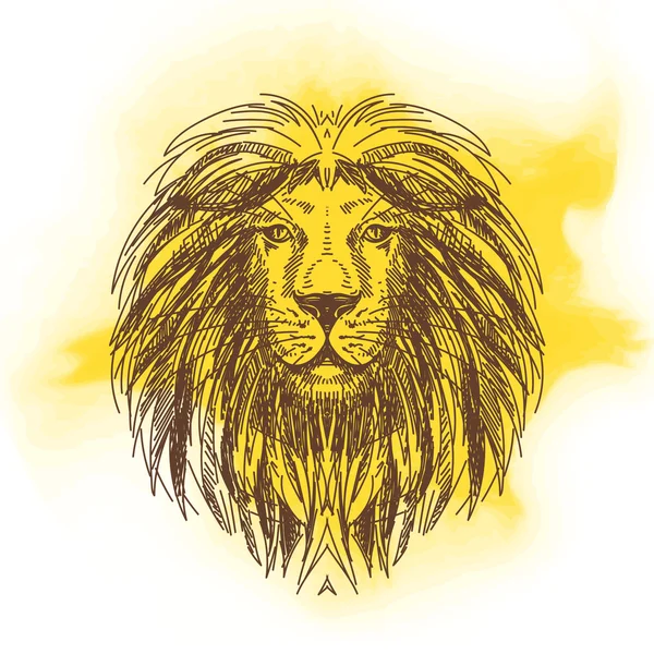 Detail Gambar Sketsa Kepala Singa Nomer 51