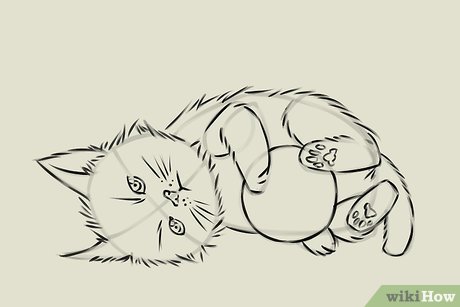 Detail Gambar Sketsa Kucing Nomer 27