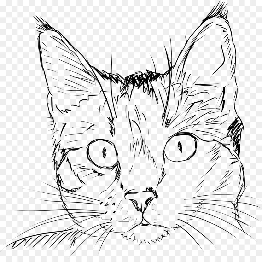 Detail Gambar Sketsa Kucing Nomer 45