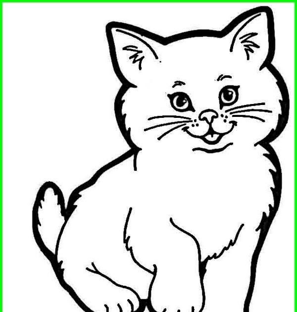 Detail Gambar Sketsa Kucing Berwarna Nomer 13
