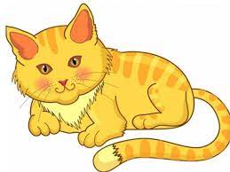 Detail Gambar Sketsa Kucing Berwarna Koleksi Nomer 4