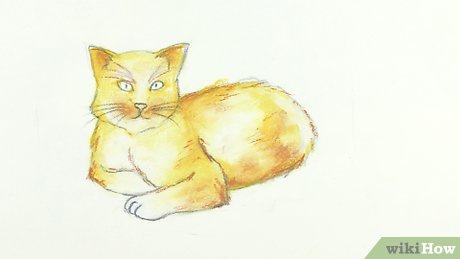 Detail Gambar Sketsa Kucing Berwarna Nomer 35