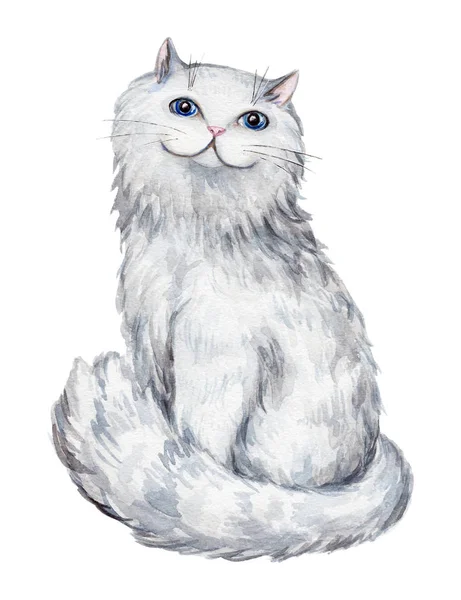 Detail Gambar Sketsa Kucing Berwarna Koleksi Nomer 51