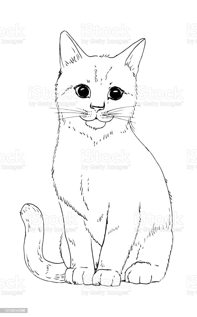 Detail Gambar Sketsa Kucing Berwarna Koleksi Nomer 9
